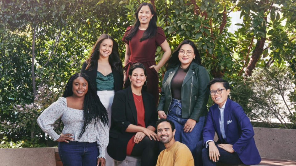 Writers mentoring program