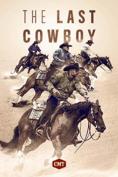 THE LAST COWBOY
