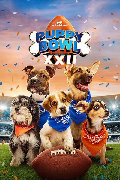 PUPPY BOWL
