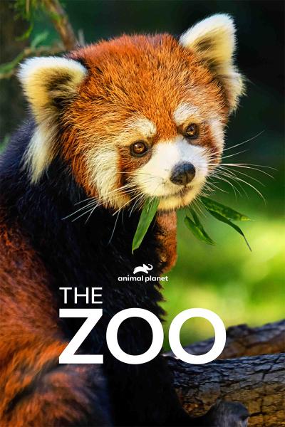 THE ZOO